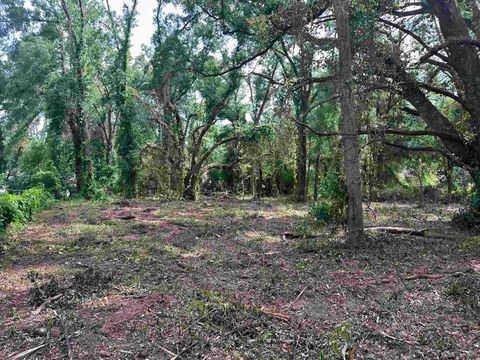 Tiny photo for 0 Longhorn Drive, Tallahassee, FL 32311 (MLS # 388279)