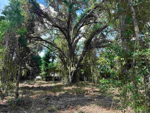Tiny photo for 0 Longhorn Drive, Tallahassee, FL 32311 (MLS # 388279)