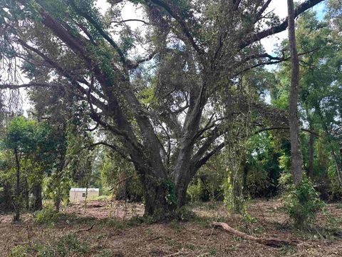 Tiny photo for 0 Longhorn Drive, Tallahassee, FL 32311 (MLS # 388279)