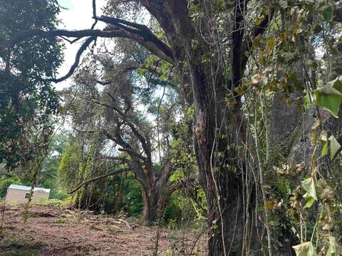 Tiny photo for 0 Longhorn Drive, Tallahassee, FL 32311 (MLS # 388279)