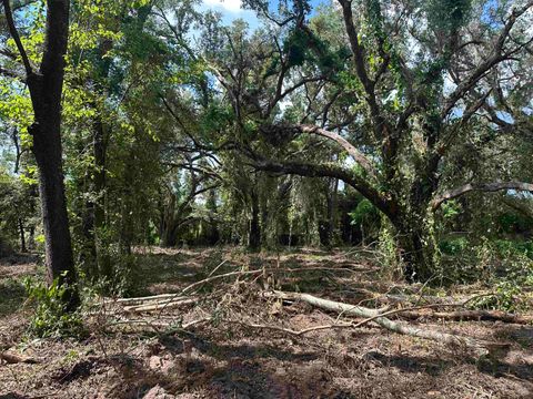 Tiny photo for 0 Longhorn Drive, Tallahassee, FL 32311 (MLS # 388279)