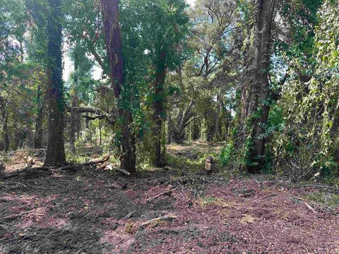 Tiny photo for 0 Longhorn Drive, Tallahassee, FL 32311 (MLS # 388279)