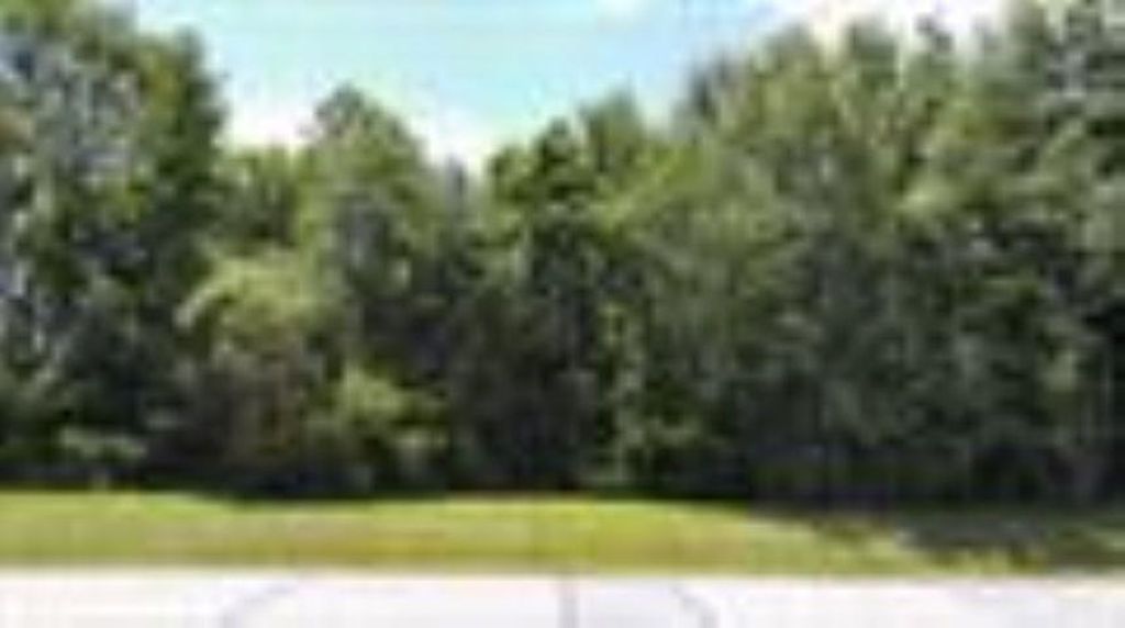 Photo of XXXXX NW County Road 12, Bristol, FL 32321 (MLS # 397362)