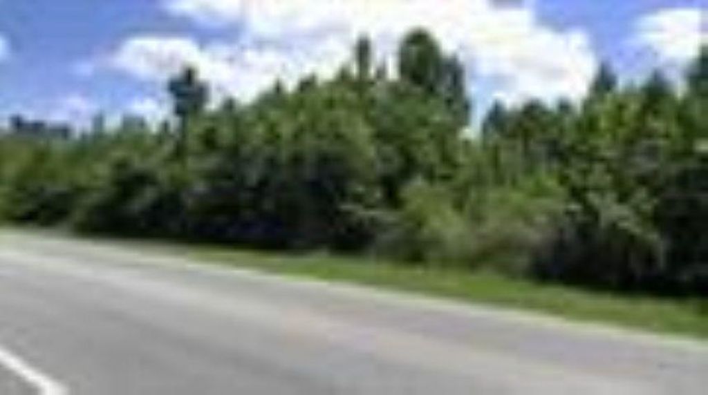 Photo of XXXXX NW County Road 12, Bristol, FL 32321 (MLS # 397362)