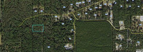 Photo of 0000 LUKE SMITH Road, Crawfordville, FL 32327 (MLS # 394159)