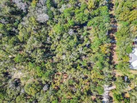 Tiny photo for 0 Parramore Shores Lot 6 Road, Tallahassee, FL 32310 (MLS # 392916)
