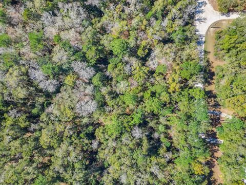 Tiny photo for 0 Parramore Shores Lot 6 Road, Tallahassee, FL 32310 (MLS # 392916)