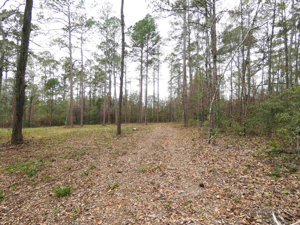 Photo of 576 Cox Road, Monticello, FL 32344 (MLS # 397041)