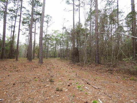 Tiny photo for 576 Cox Road, Monticello, FL 32344 (MLS # 397041)