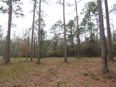 Tiny photo for 576 Cox Road, Monticello, FL 32344 (MLS # 397041)