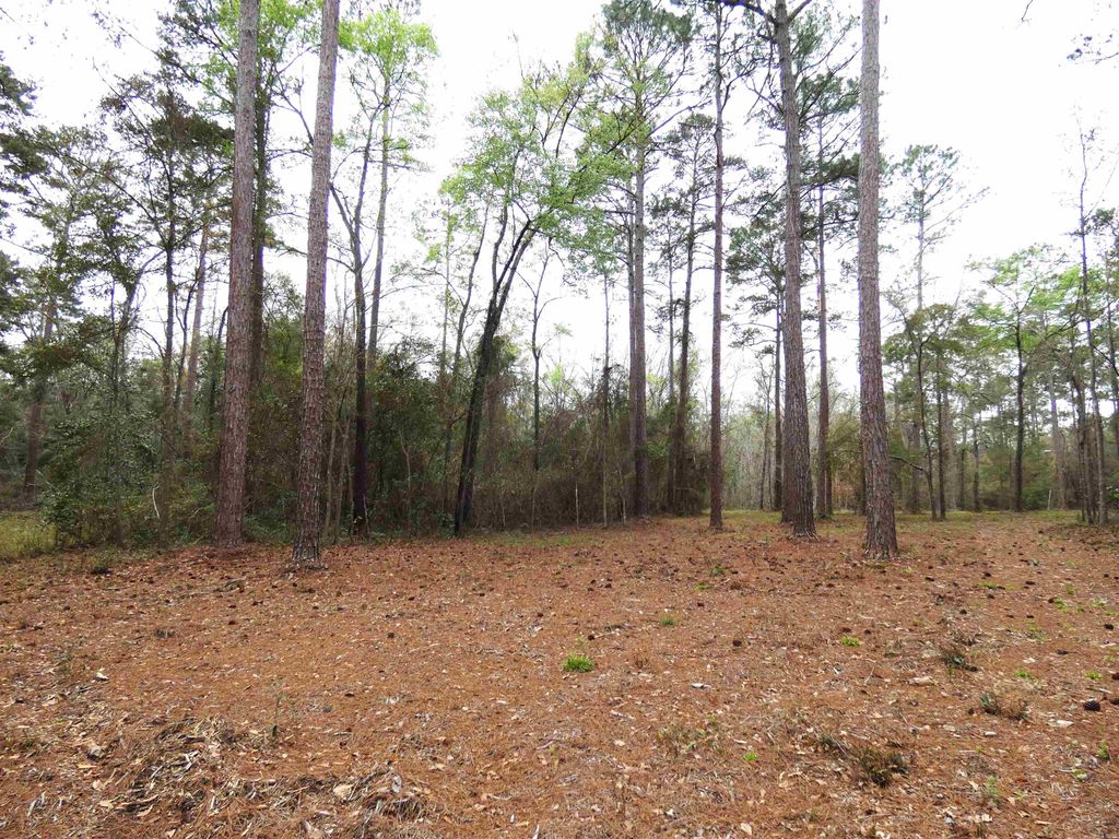 Photo of 576 Cox Road, Monticello, FL 32344 (MLS # 397041)