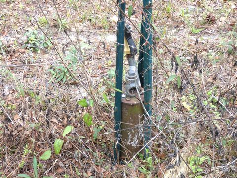 Tiny photo for 576 Cox Road, Monticello, FL 32344 (MLS # 397041)