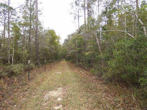 Tiny photo for 576 Cox Road, Monticello, FL 32344 (MLS # 397041)