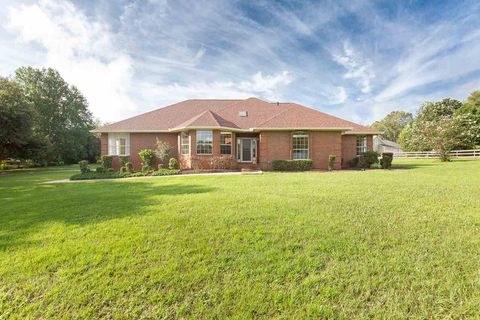 Photo of 9249 Oakfair Drive, Tallahassee, FL 32317 (MLS # 389358)