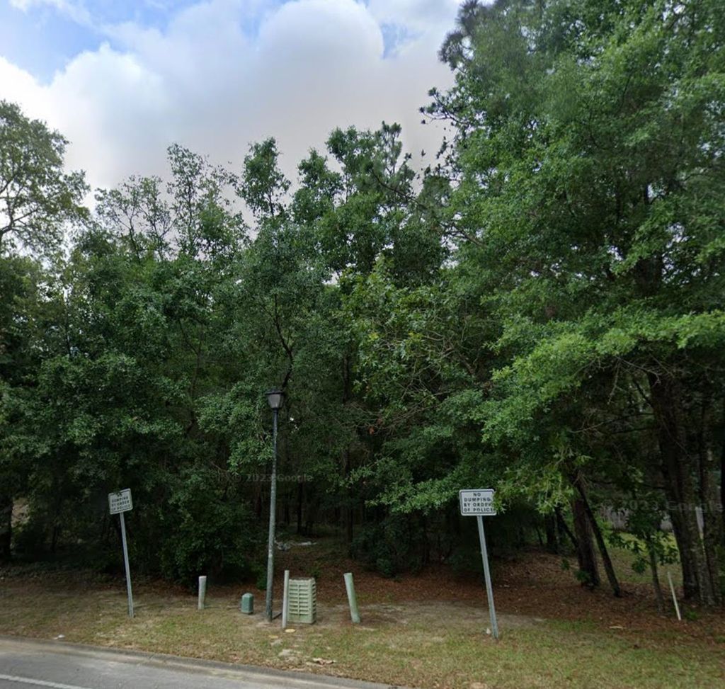 Photo of 235 Wilson Green Boulevard, Tallahassee, FL 32305 (MLS # 375242)