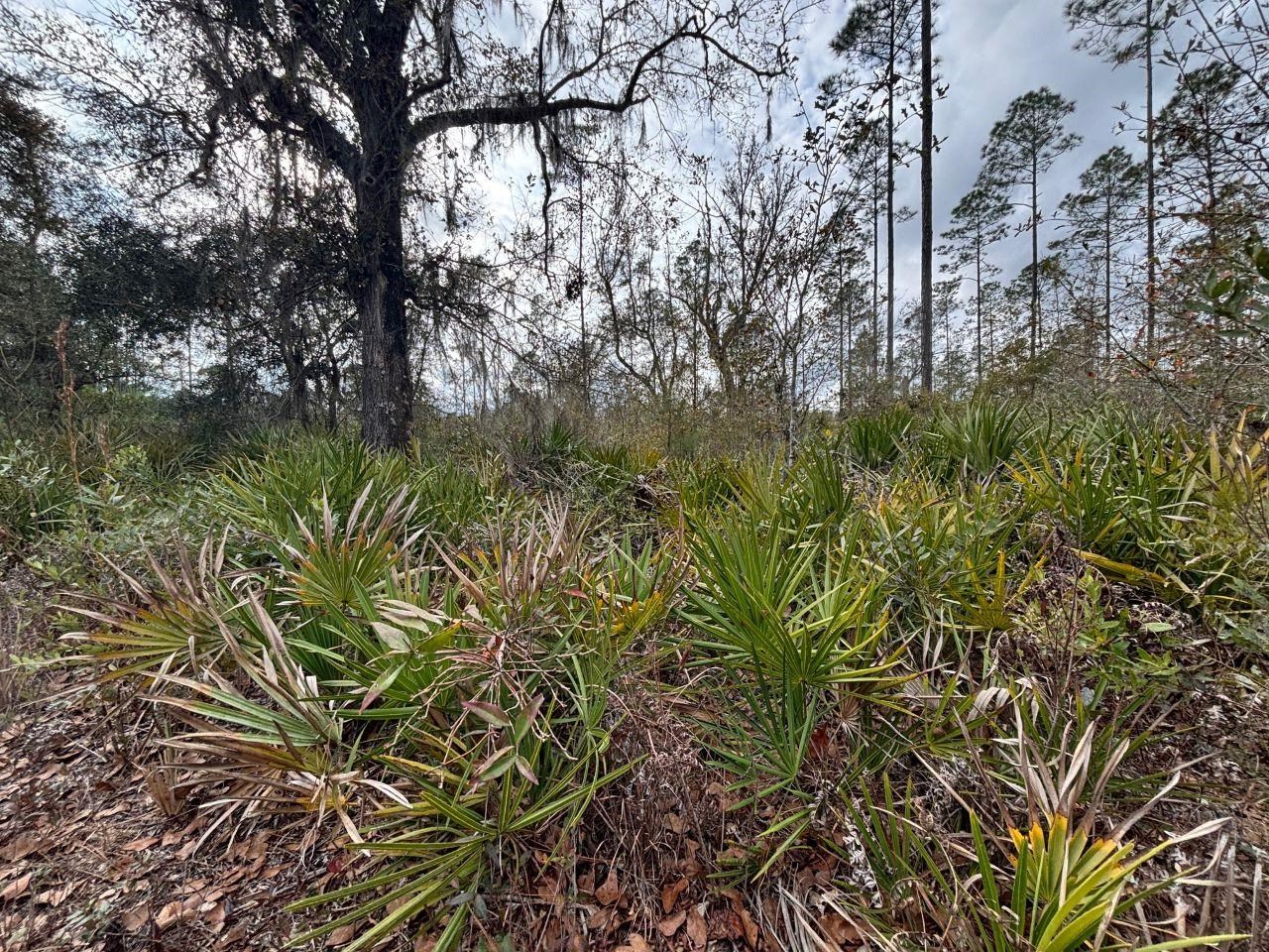 Vacant SW Ontario Road