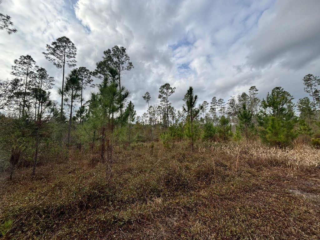 Photo of Vacant SW Ontario Road, Greenville, FL 32331 (MLS # 394775)