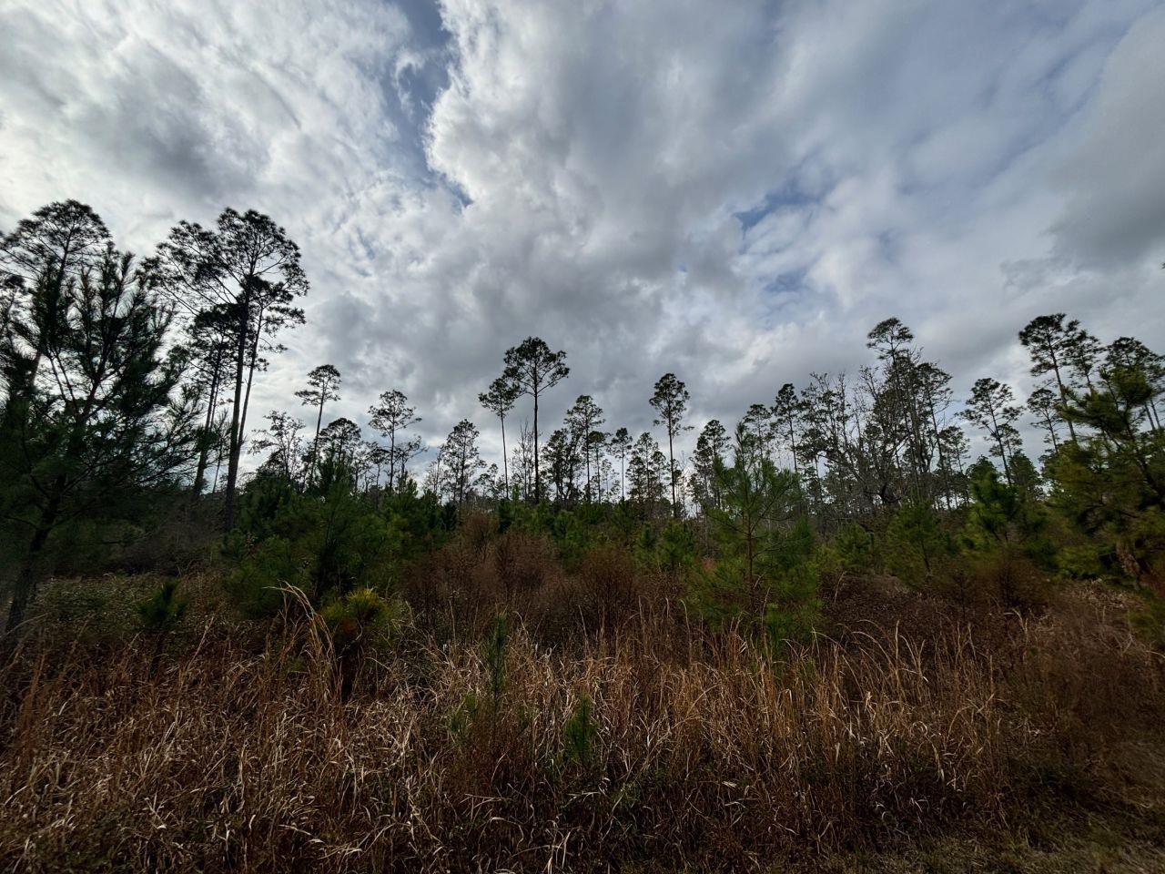 Vacant SW Ontario Road