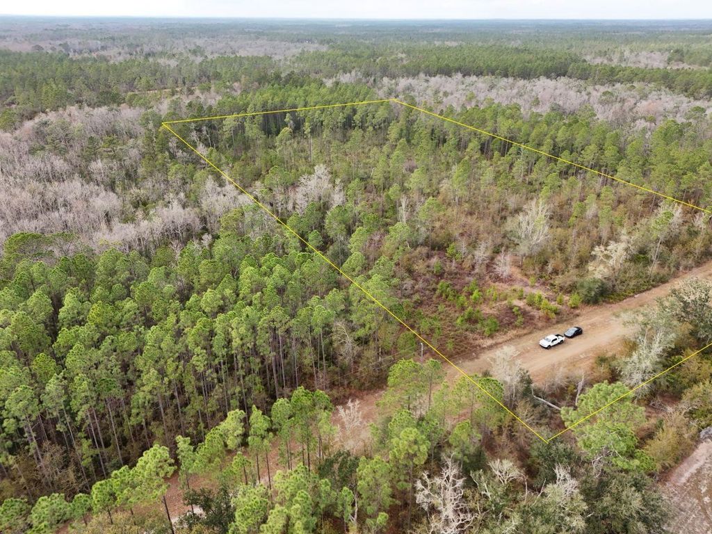 Photo of Vacant SW Ontario Road, Greenville, FL 32331 (MLS # 394775)