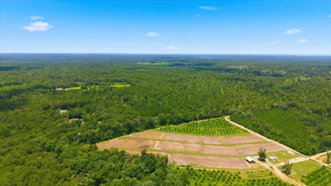 Tiny photo for 9013 Kipper Lane, Tallahassee, FL 32309 (MLS # 402461)