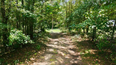 Tiny photo for 9013 Kipper Lane, Tallahassee, FL 32309 (MLS # 402461)