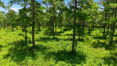 Tiny photo for 9013 Kipper Lane, Tallahassee, FL 32309 (MLS # 402461)