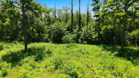 Tiny photo for 9013 Kipper Lane, Tallahassee, FL 32309 (MLS # 402461)