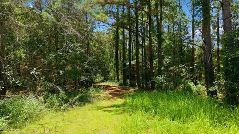 Tiny photo for 9013 Kipper Lane, Tallahassee, FL 32309 (MLS # 402461)