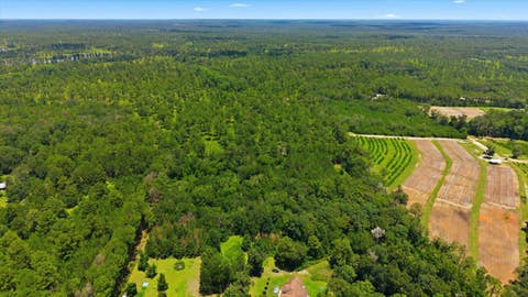 Tiny photo for 9013 Kipper Lane, Tallahassee, FL 32309 (MLS # 402461)