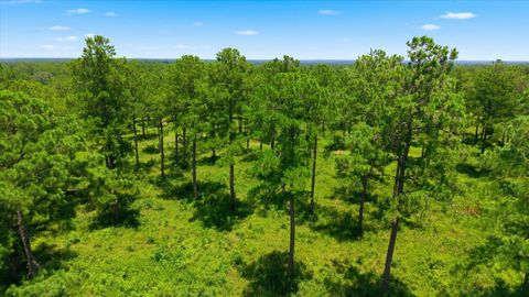 Tiny photo for 9013 Kipper Lane, Tallahassee, FL 32309 (MLS # 402461)