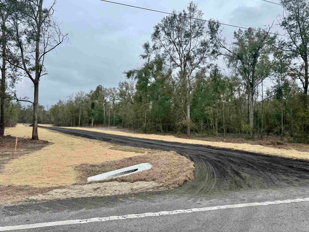 Photo of Parcel 1 E US 90 Highway, Lee, FL 32059 (MLS # 394613)