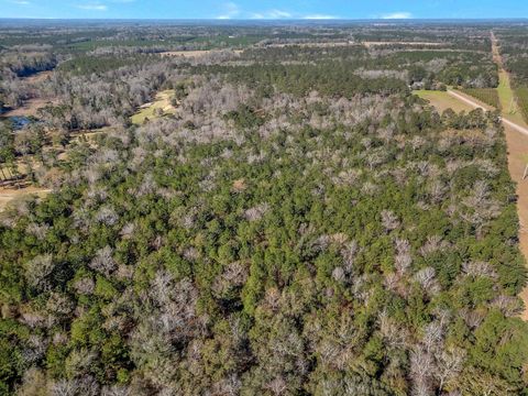 Tiny photo for -XXX- Solomon Dairy Road, Quincy, FL 32351 (MLS # 396943)