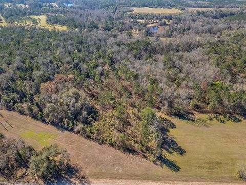 Tiny photo for -XXX- Solomon Dairy Road, Quincy, FL 32351 (MLS # 396943)