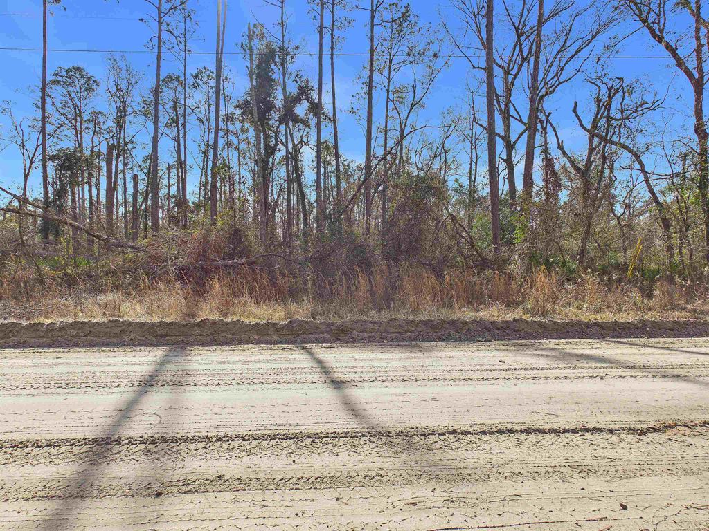 Photo of Vacant NE River Park Road, Lee, FL 32059 (MLS # 395934)