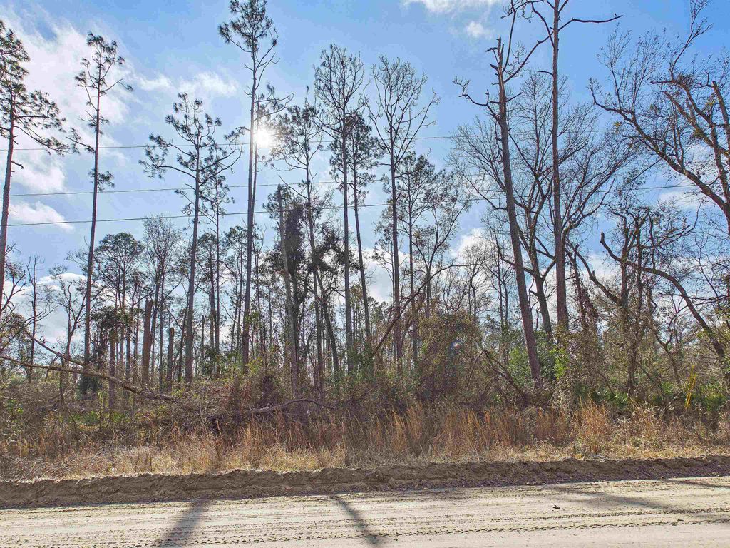 Photo of Vacant NE River Park Road, Lee, FL 32059 (MLS # 395934)