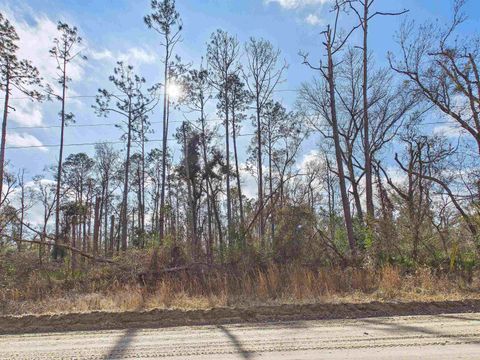 Vacant NE River Park Road Lee FL 32059
