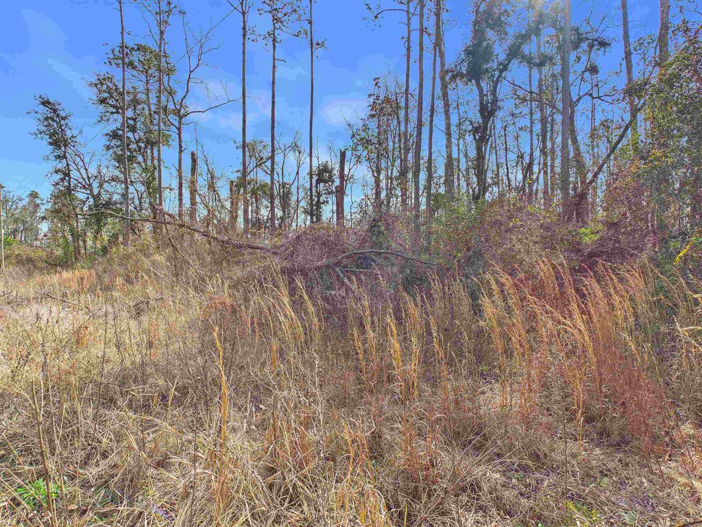 Photo of Vacant NE River Park Road, Lee, FL 32059 (MLS # 395934)