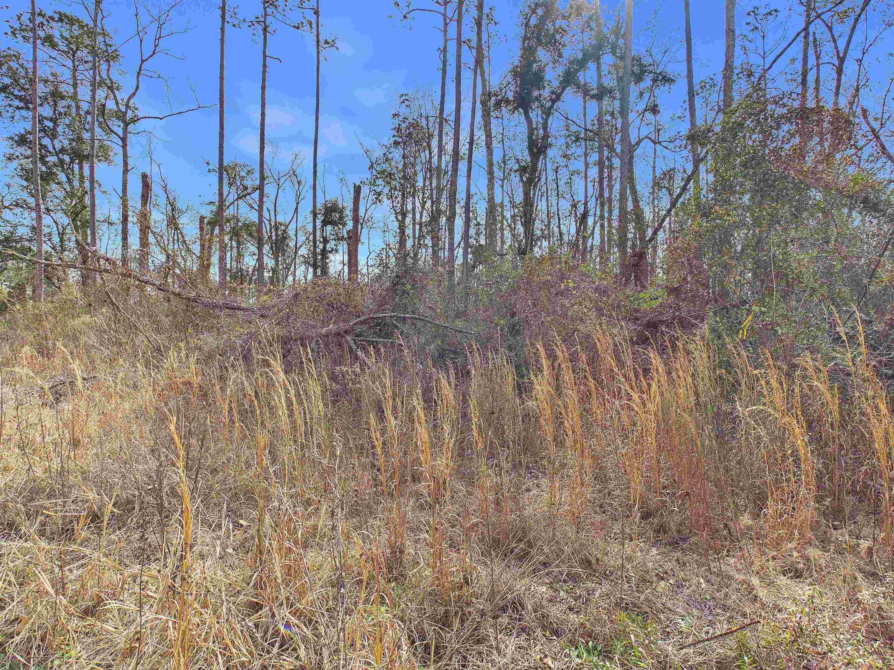 Vacant NE River Park Road