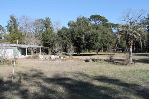 Tiny photo for 10845 Tebo Trail, Woodville, FL 32305 (MLS # 395574)