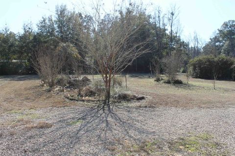 Tiny photo for 10845 Tebo Trail, Woodville, FL 32305 (MLS # 395574)