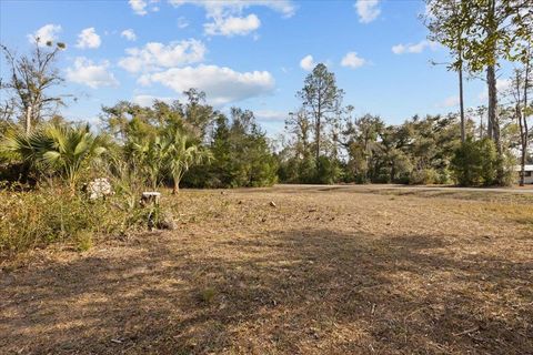 Tiny photo for 1100 Glennis Cruce Road, Perry, FL 32347 (MLS # 395330)