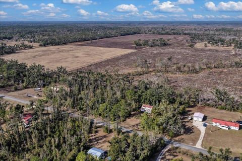 Tiny photo for 1100 Glennis Cruce Road, Perry, FL 32347 (MLS # 395330)