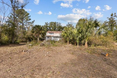 Tiny photo for 1100 Glennis Cruce Road, Perry, FL 32347 (MLS # 395330)