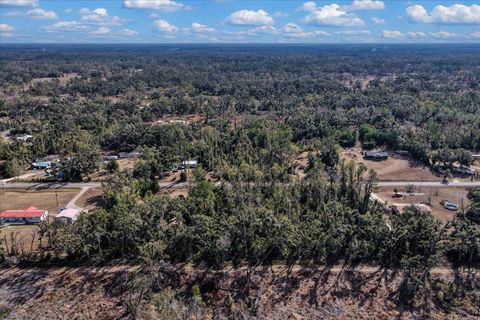 Tiny photo for 1100 Glennis Cruce Road, Perry, FL 32347 (MLS # 395330)