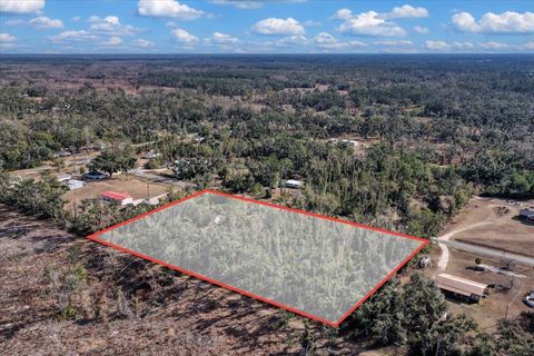 Tiny photo for 1100 Glennis Cruce Road, Perry, FL 32347 (MLS # 395330)