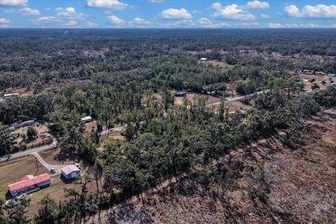 Tiny photo for 1100 Glennis Cruce Road, Perry, FL 32347 (MLS # 395330)