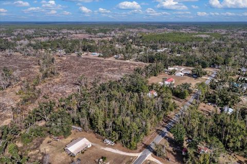 Tiny photo for 1100 Glennis Cruce Road, Perry, FL 32347 (MLS # 395330)