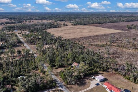 Tiny photo for 1100 Glennis Cruce Road, Perry, FL 32347 (MLS # 395330)
