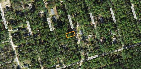 x Renegade Road Crawfordville FL 32327