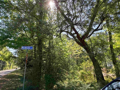 Tiny photo for 4241 Mainsail Street, Tallahassee, FL 32303 (MLS # 399115)